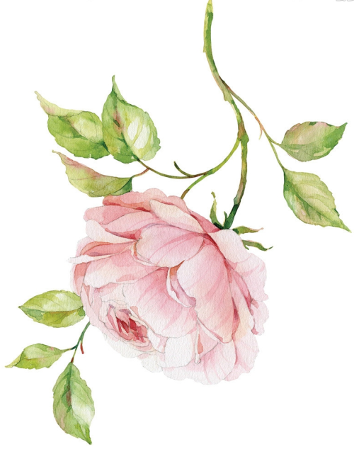 1438497009946003168.png blob.png